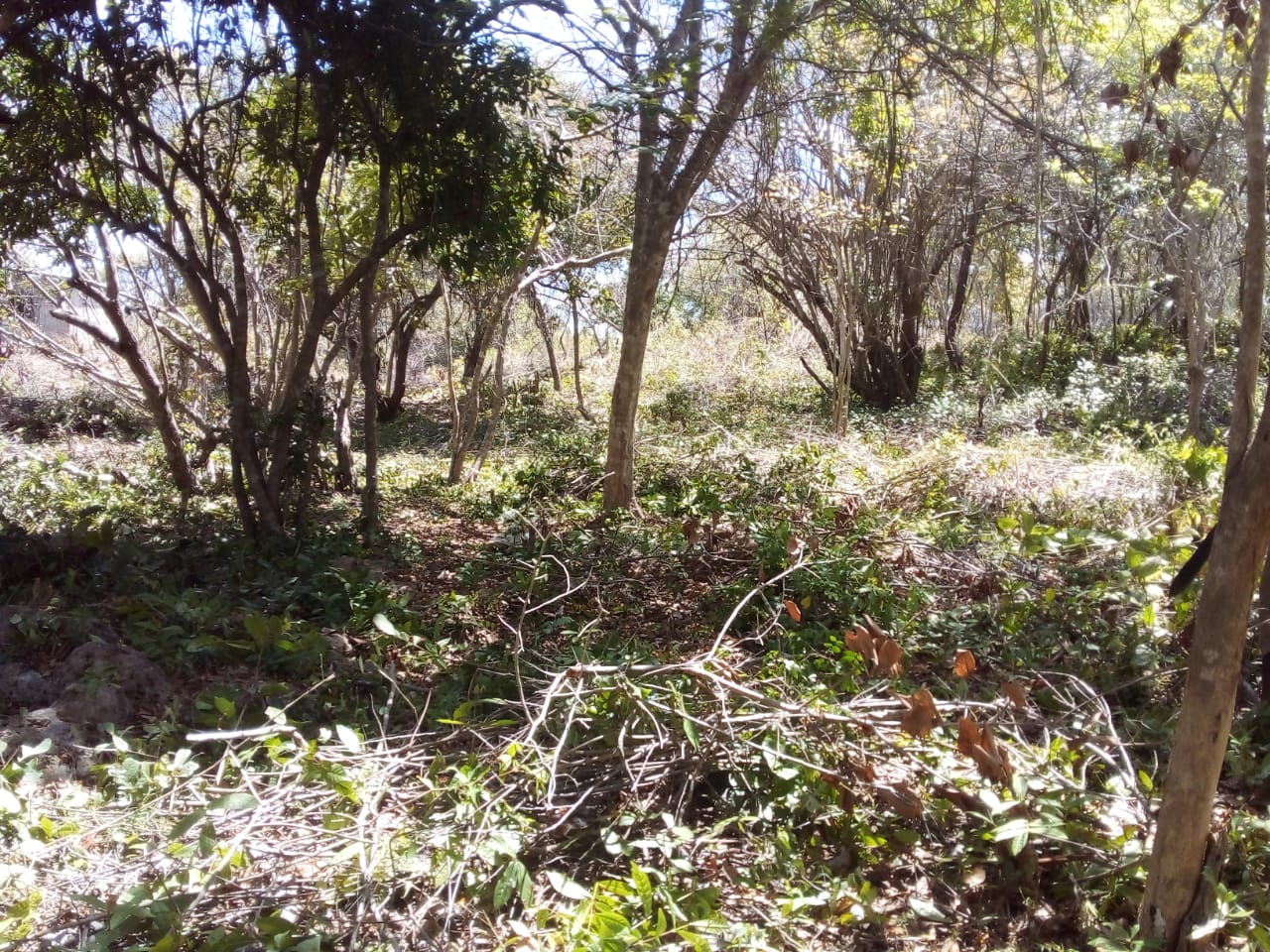 4.5 acres land at Funzi in Kwale Villa Care Kenya