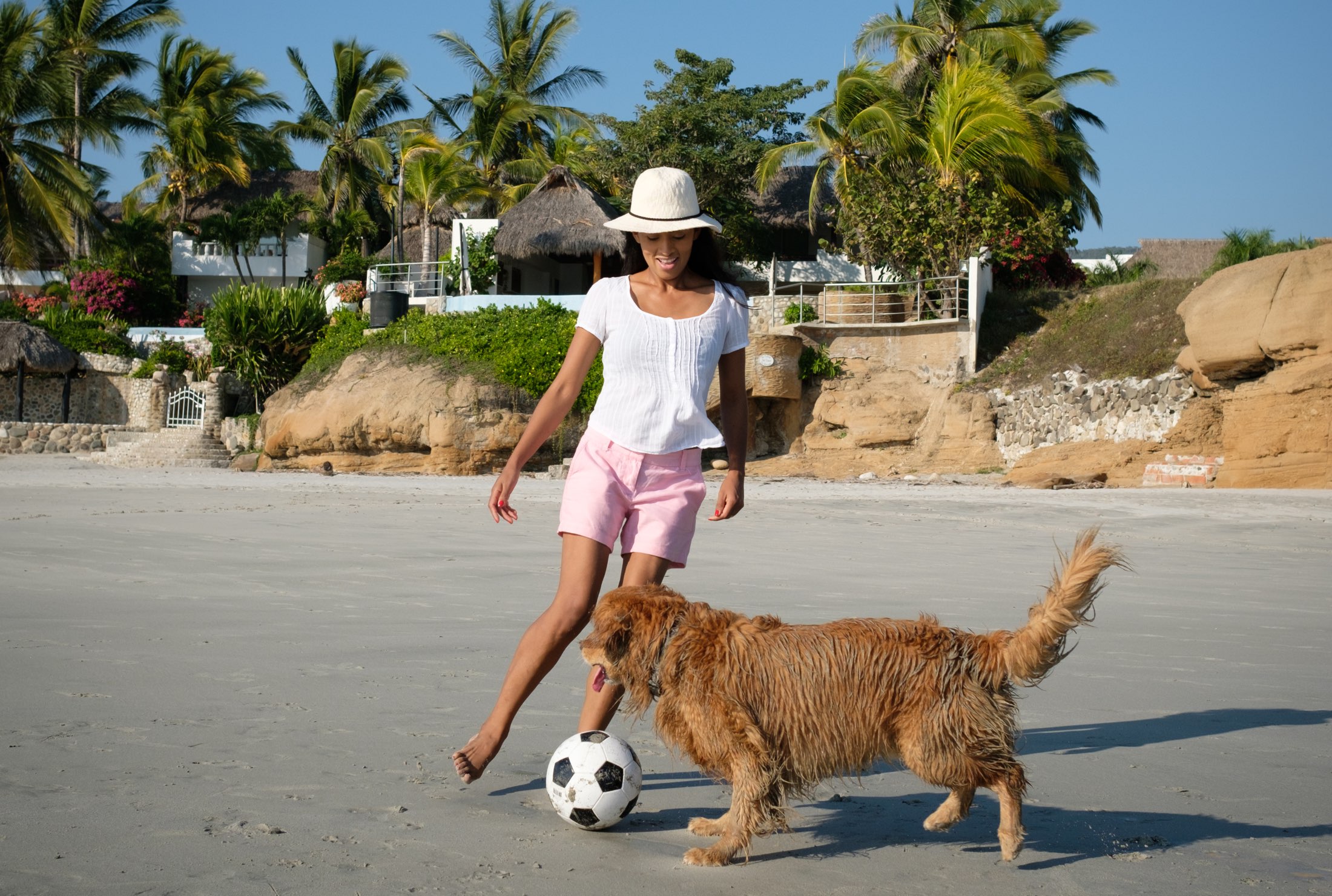 Descubrir 82+ imagen playas pet friendly riviera maya Viaterra.mx