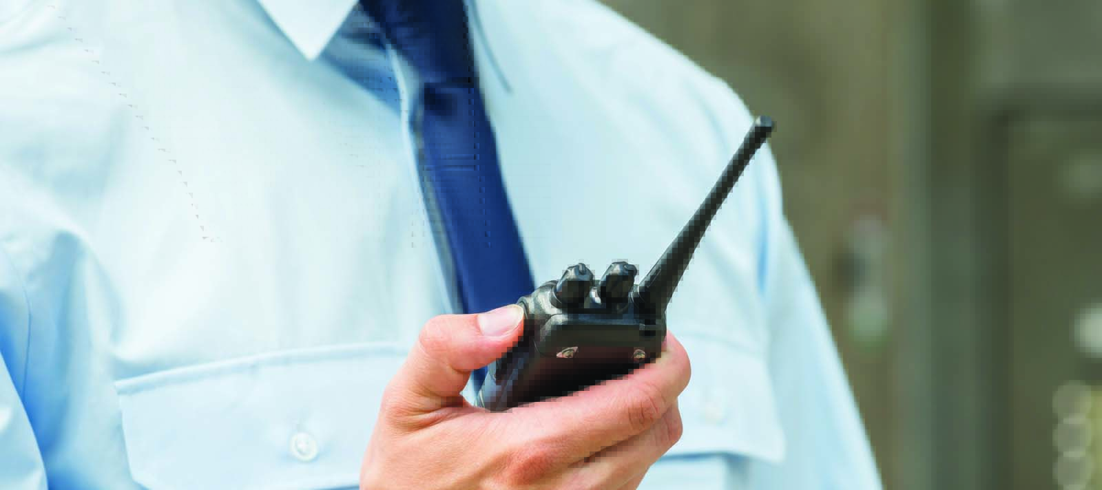 Security Village Green Shopping Centre