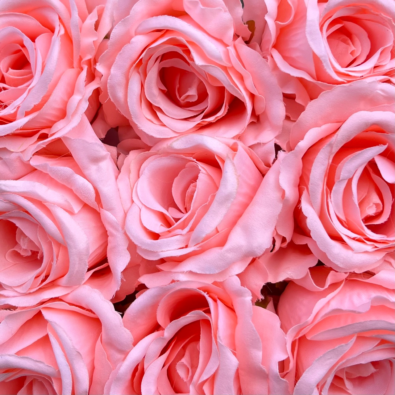 BULK Large Rose Heads (Pack 12) Peach Village Green