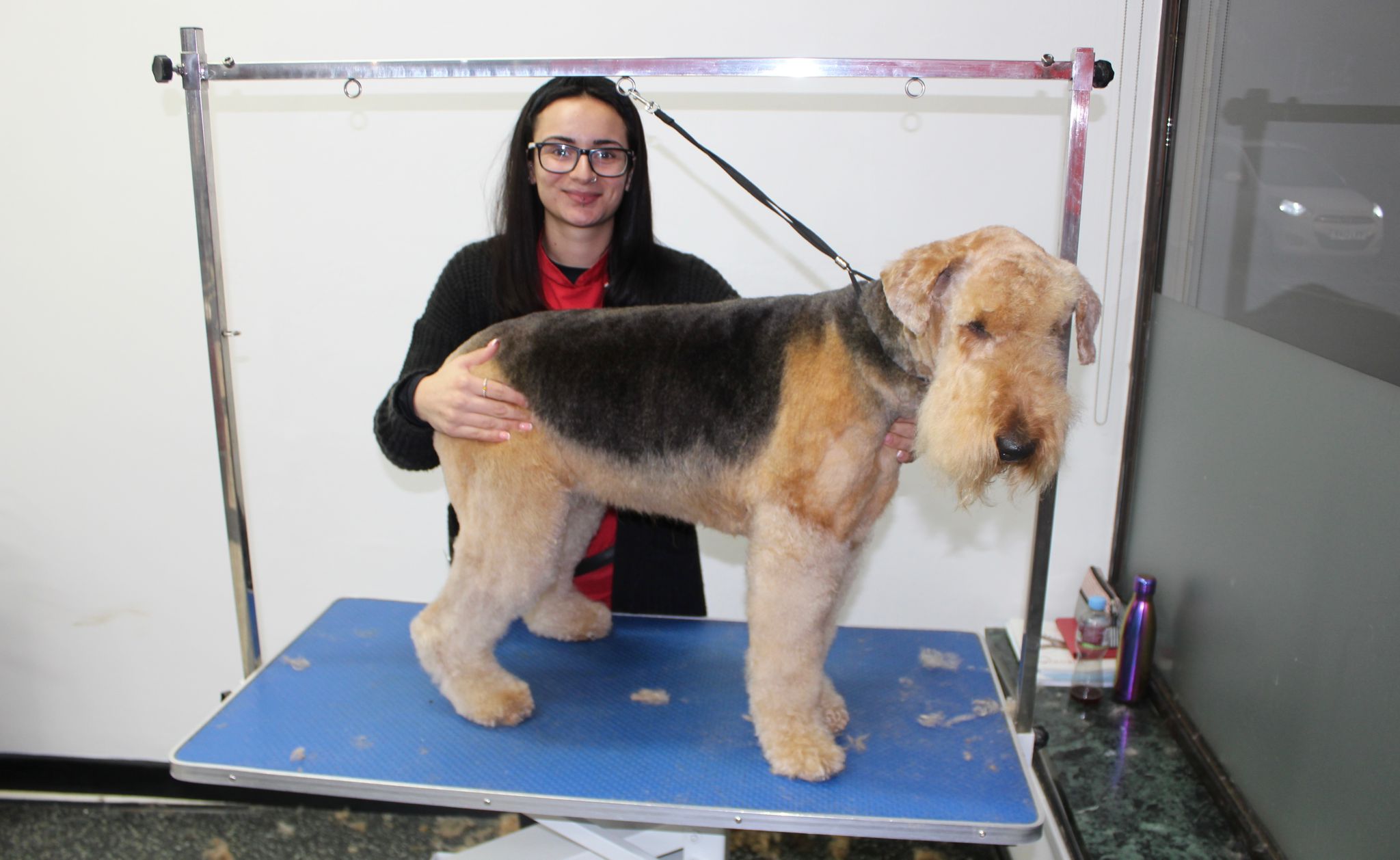 Professional Dog Grooming & Teeth Cleaning With Village Pets