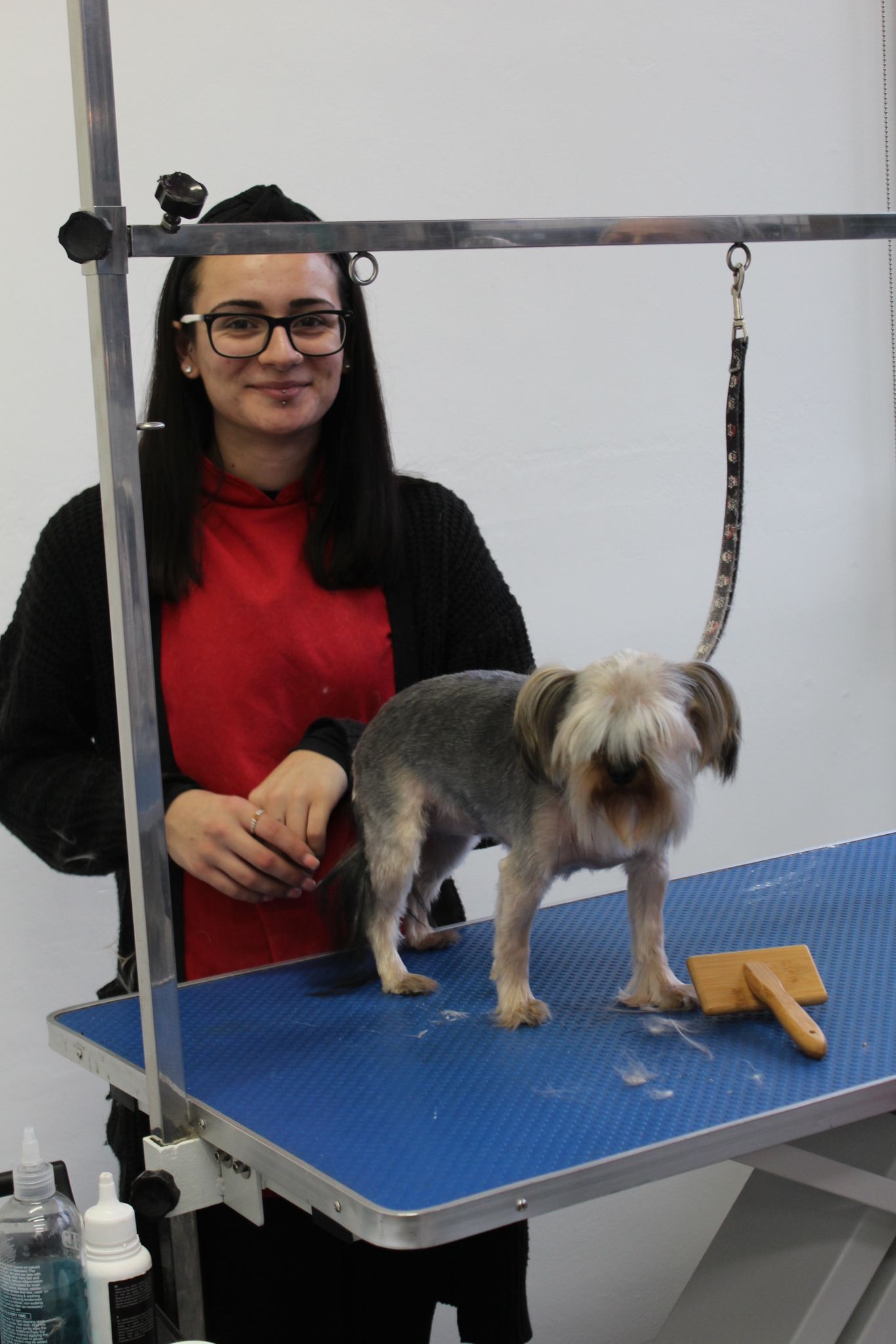 Professional Dog Grooming & Teeth Cleaning With Village Pets