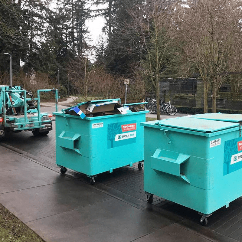 Ultimate Guide to junk removal bin for waste removal Villa Pacri