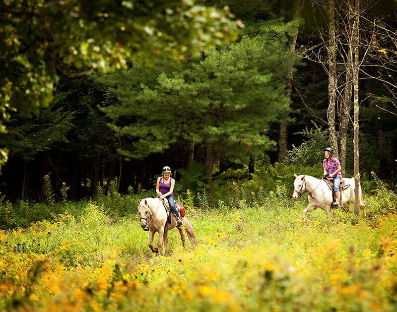 Horseback Riding (Open Seasonally) Villa Roma Resort