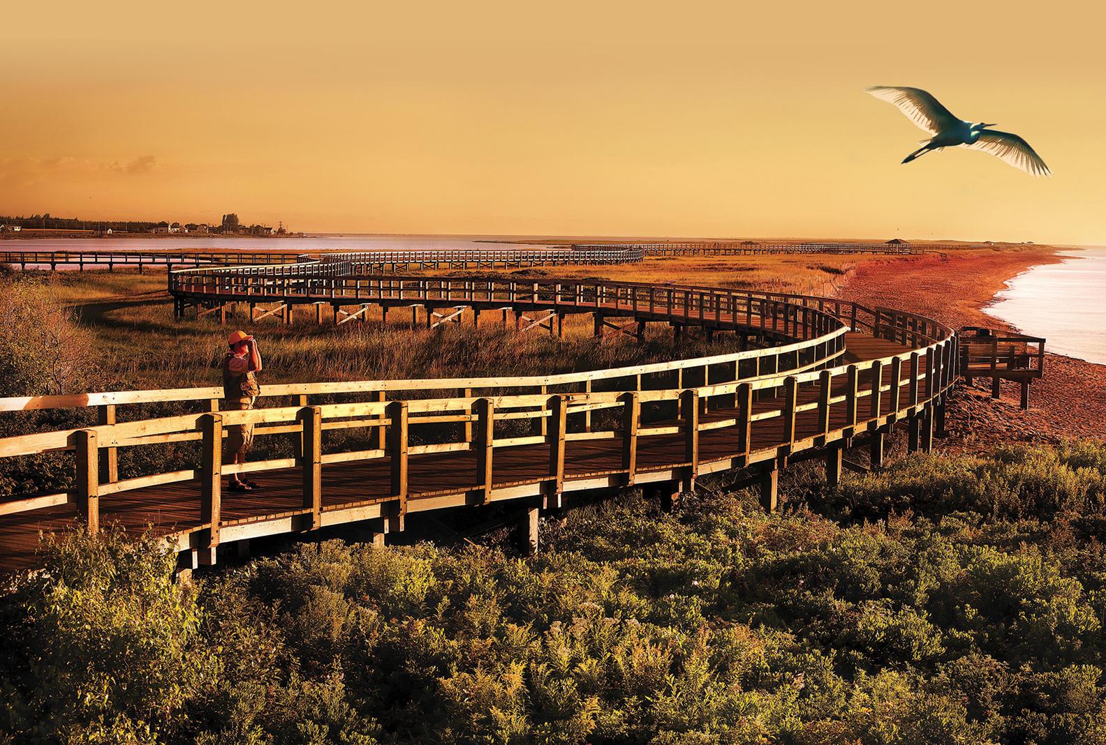 quoi faire Grand Bouctouche