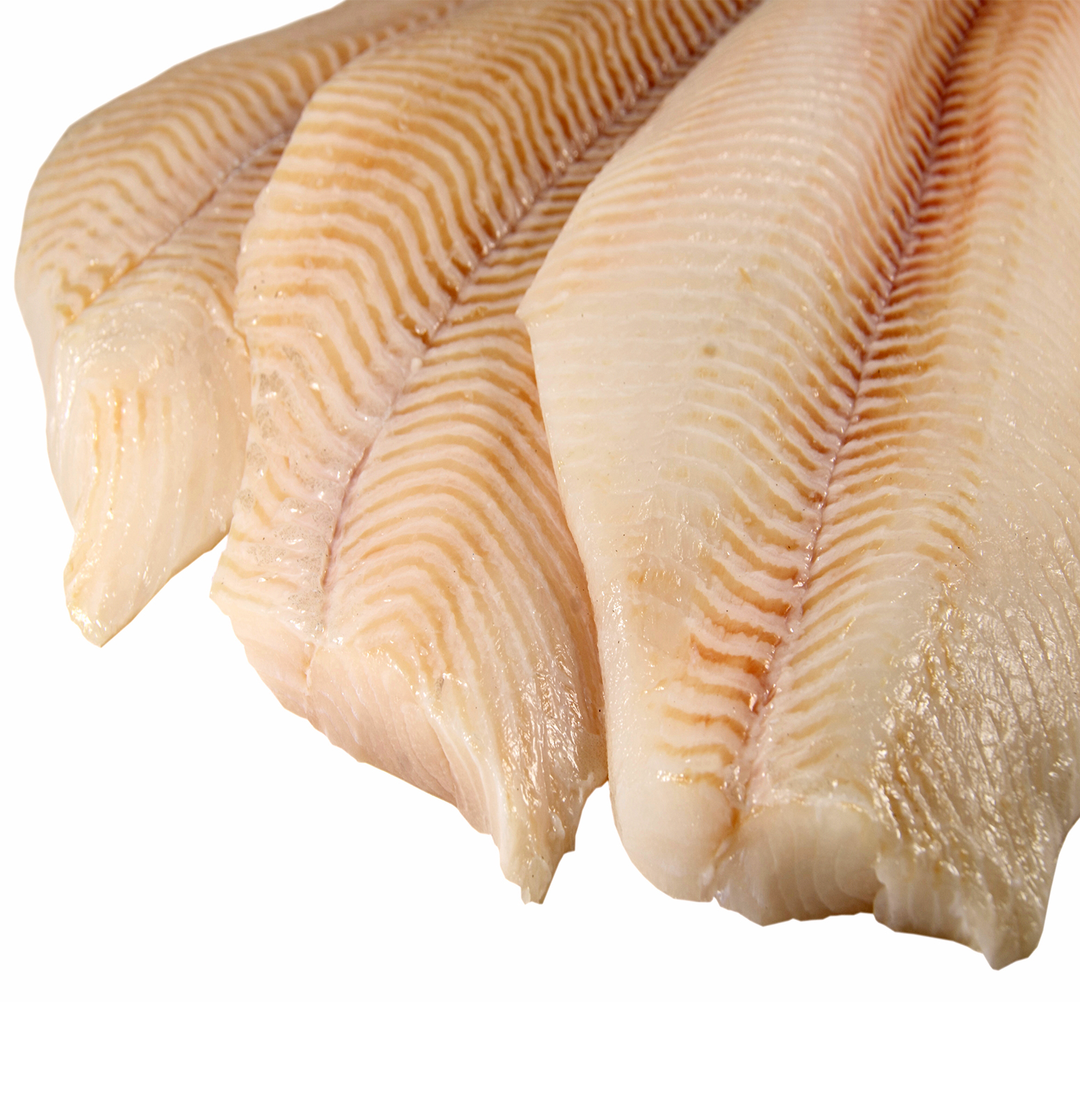 Atlantic Halibut VIMA Foods