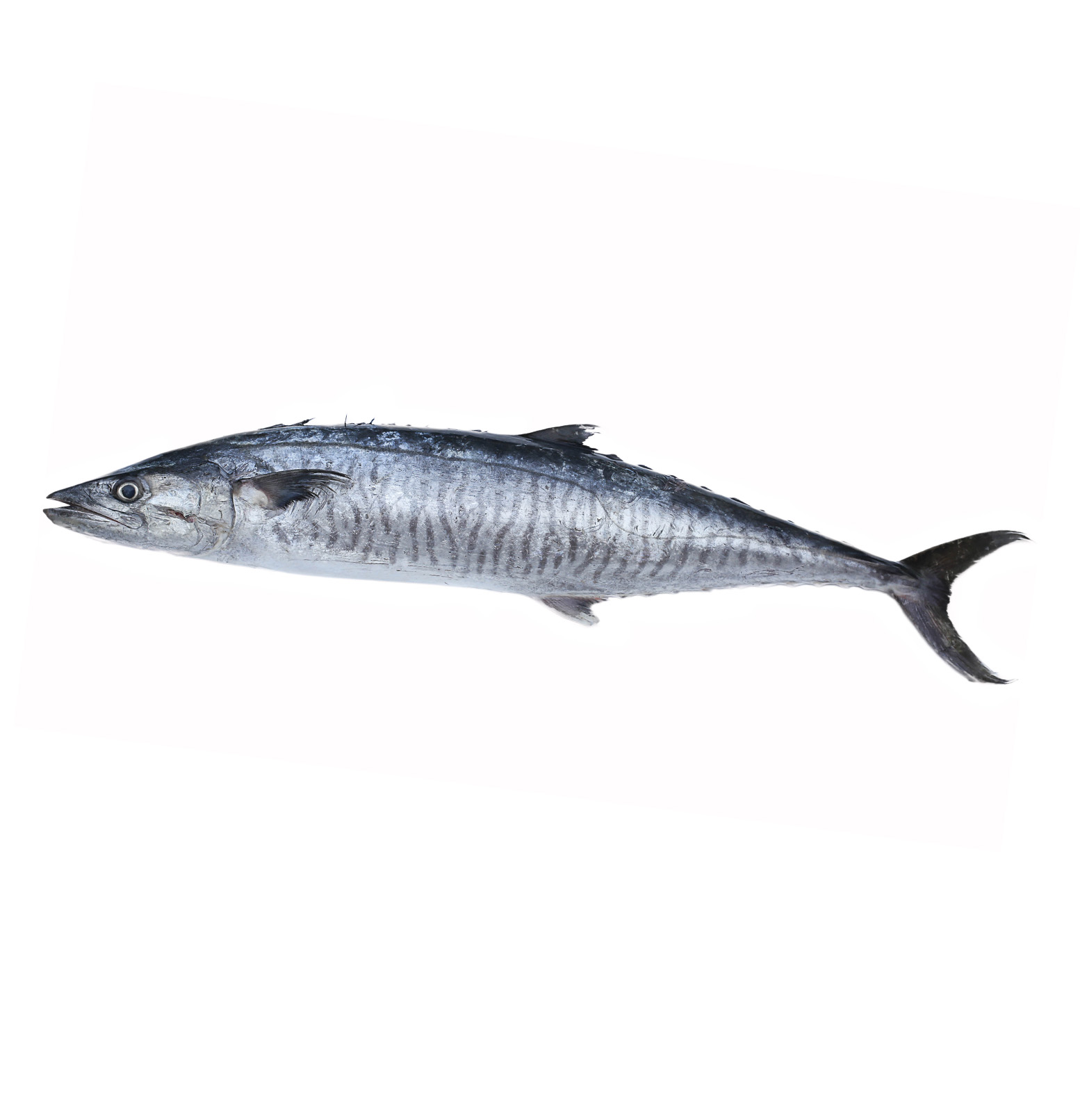 Kingfish VIMA Foods