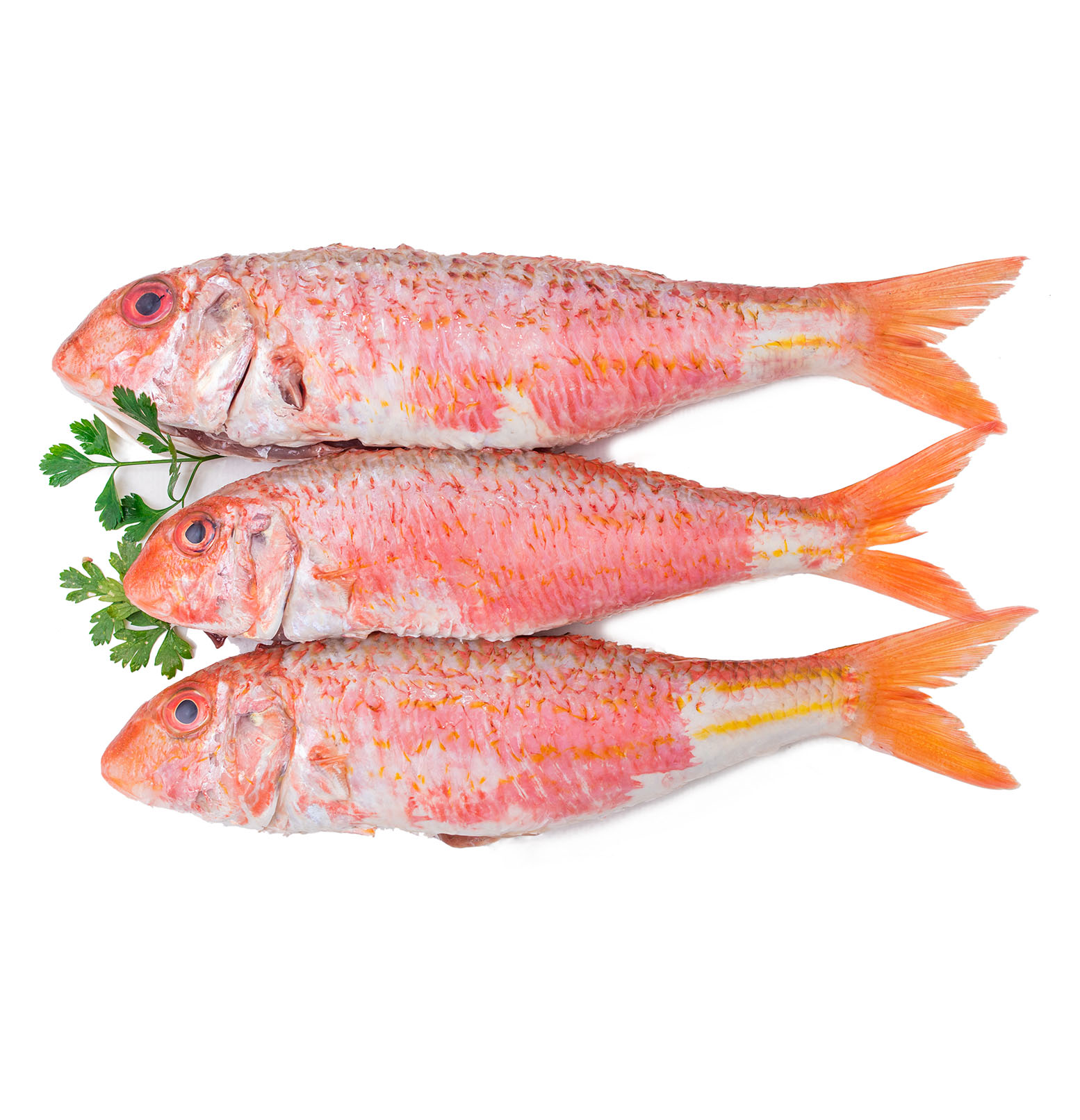 Red Mullet VIMA Foods