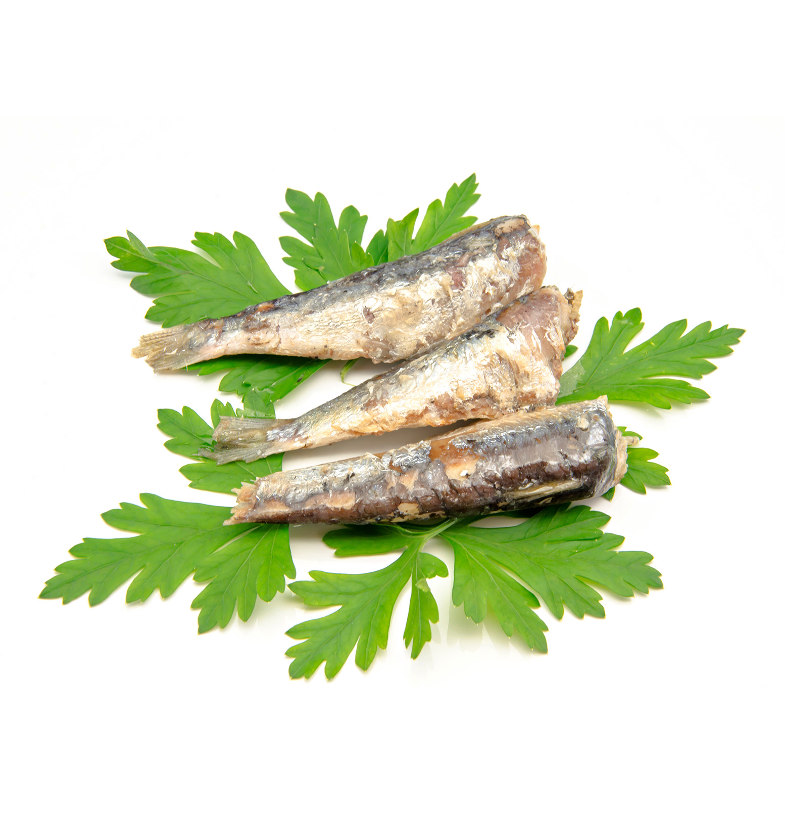 Canned Sardines VIMA Foods