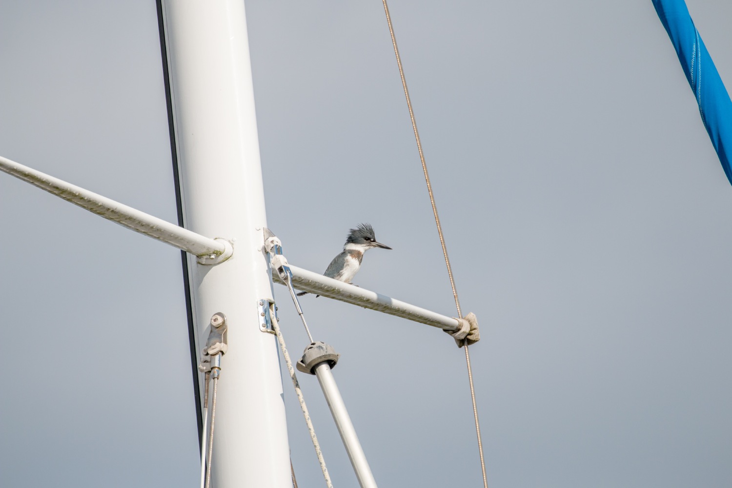 Port McNeill Harbour Port McNeill Marina