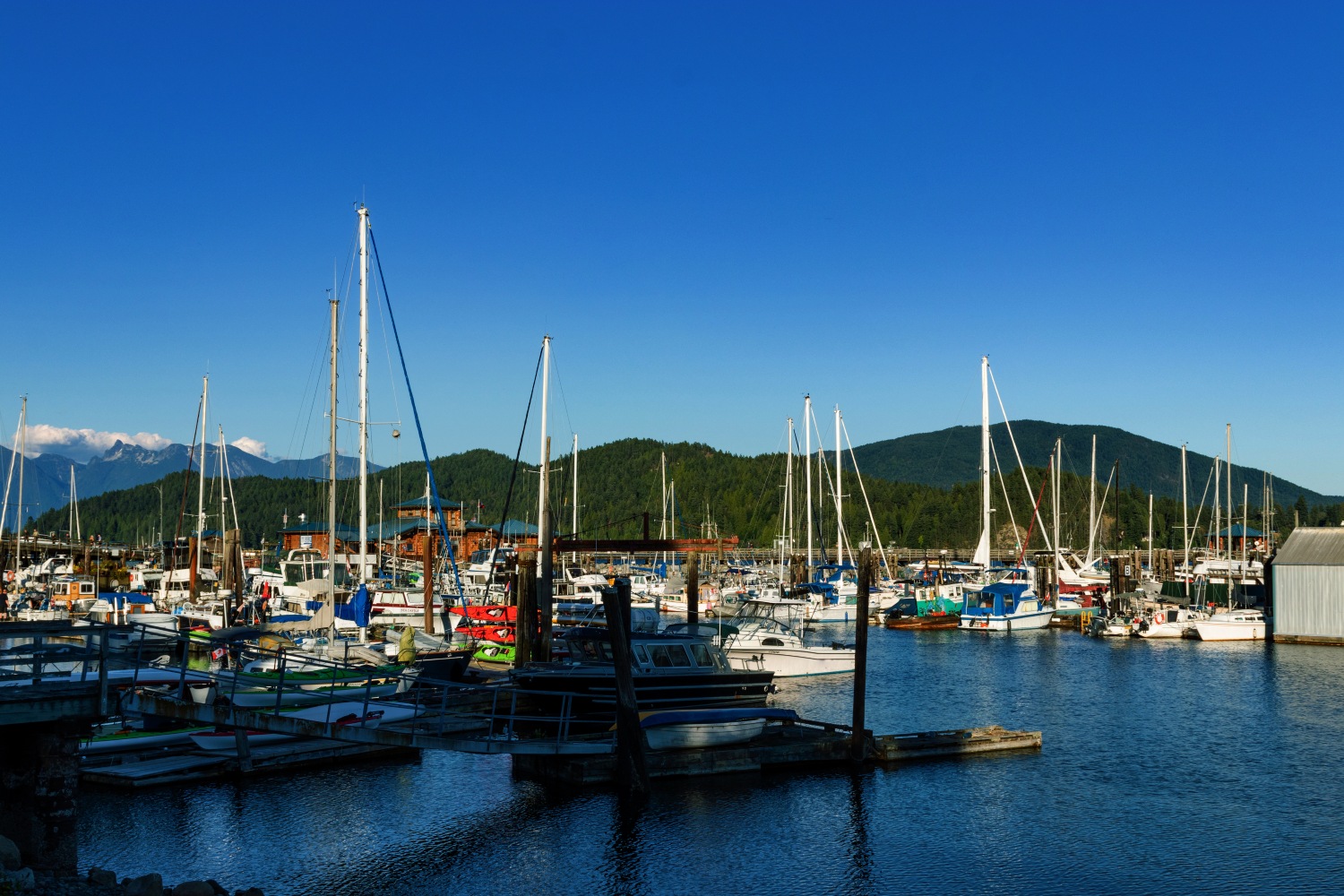 Gibsons Landing Marina