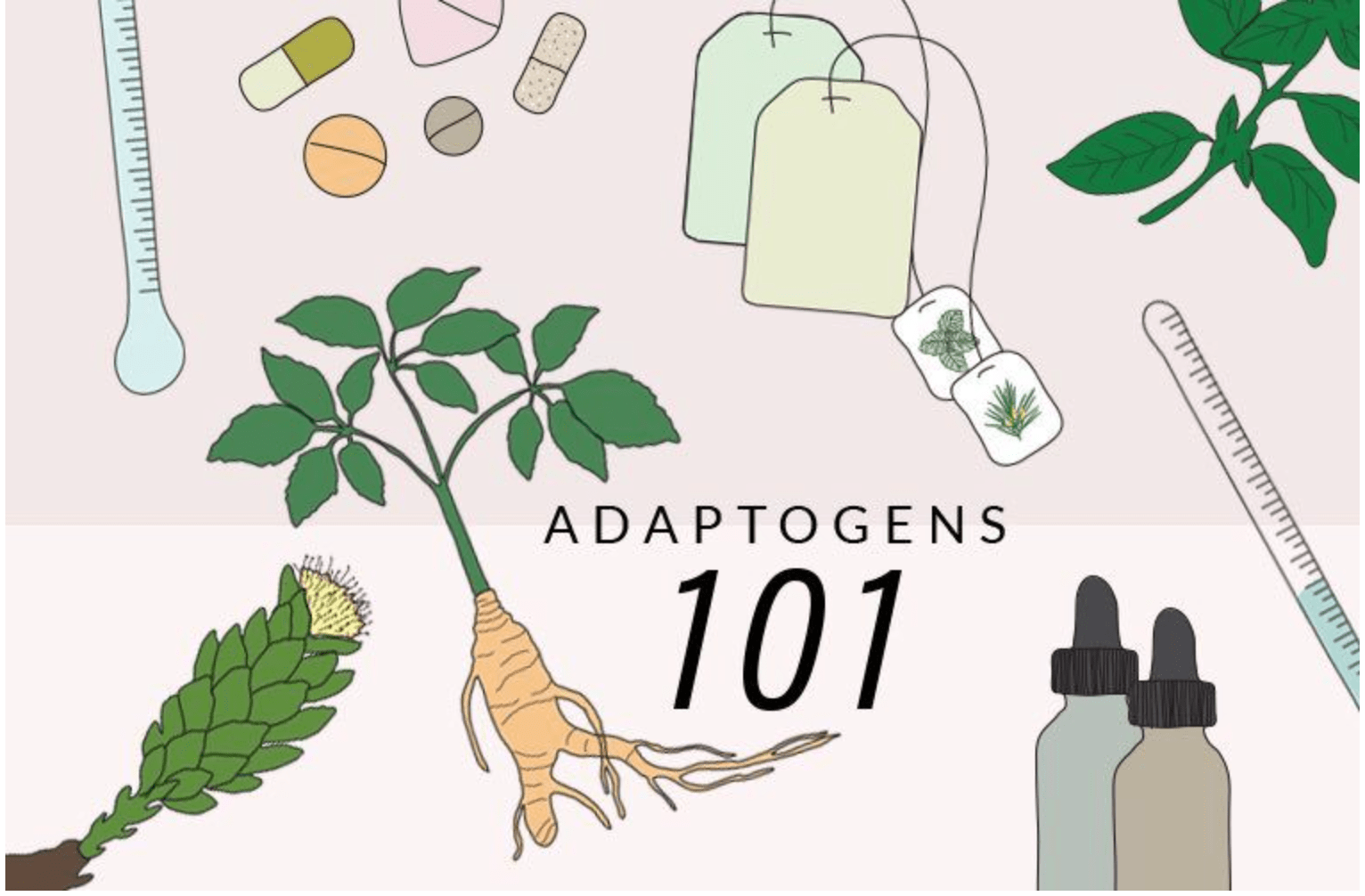 Adaptogens What they are, and why you should eat them. VIM Fitness