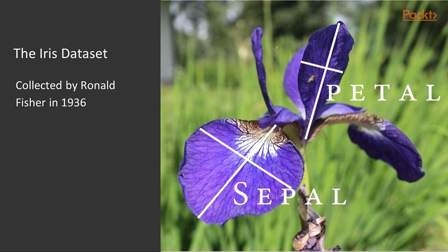 如何将Sklearn数据集转换为Pandas数据集？ 纯净天空