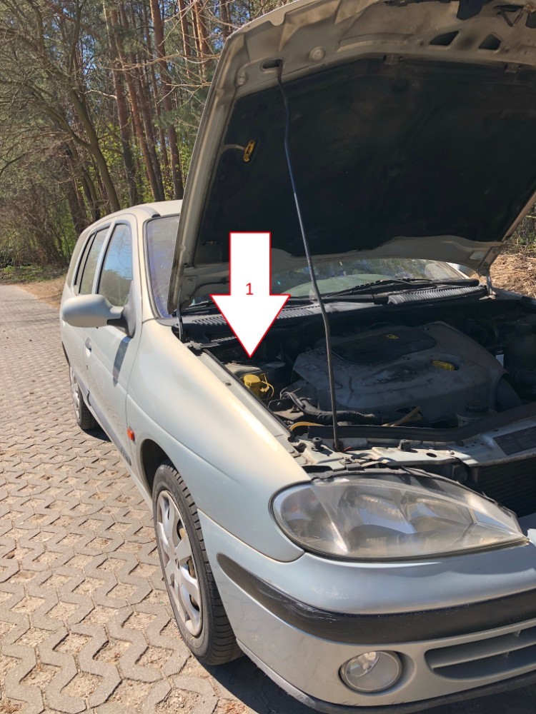 Renault Megane (19952002) Where is VIN Number Find