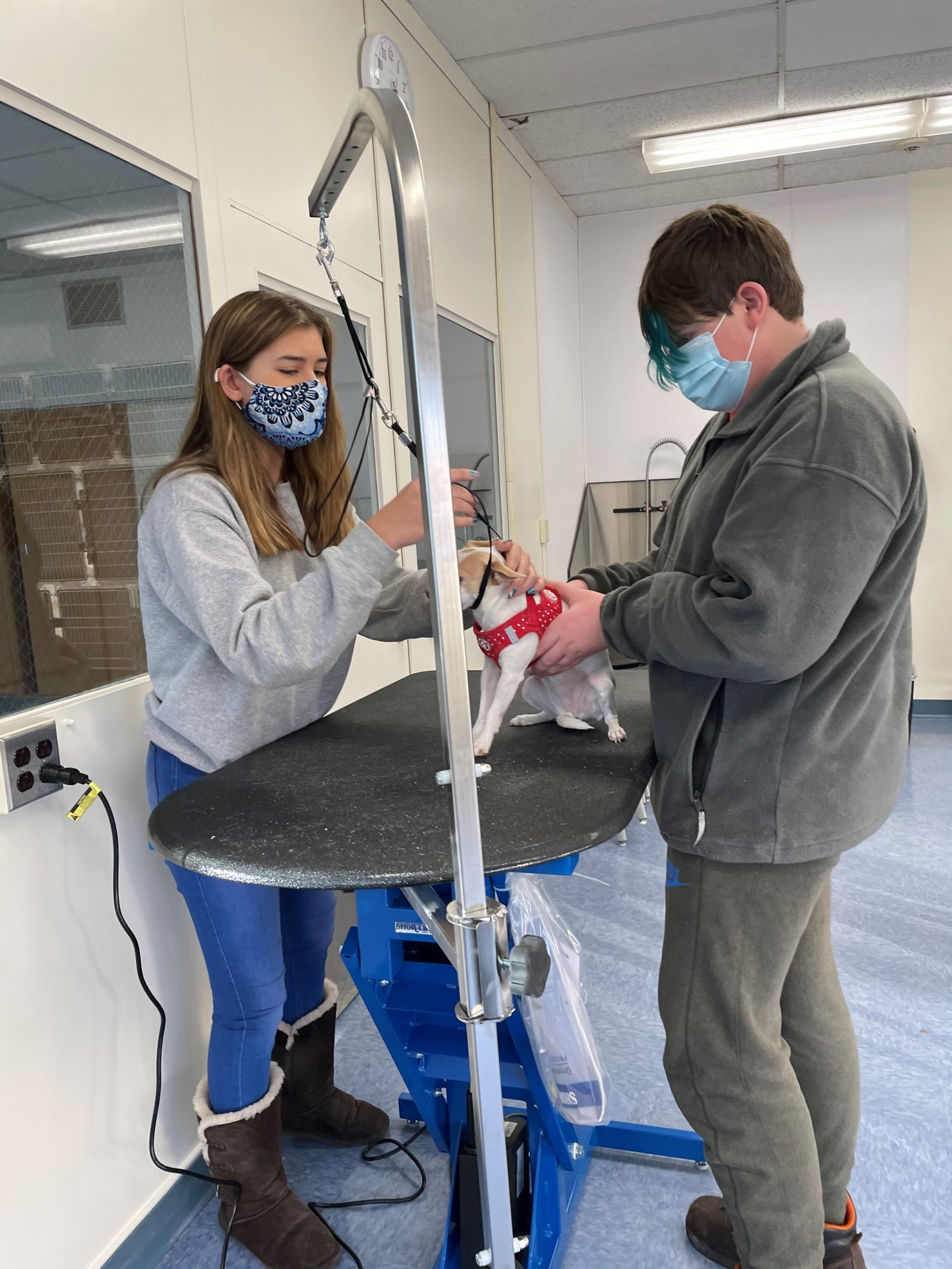 Veterinary Science Vinal Technical High School