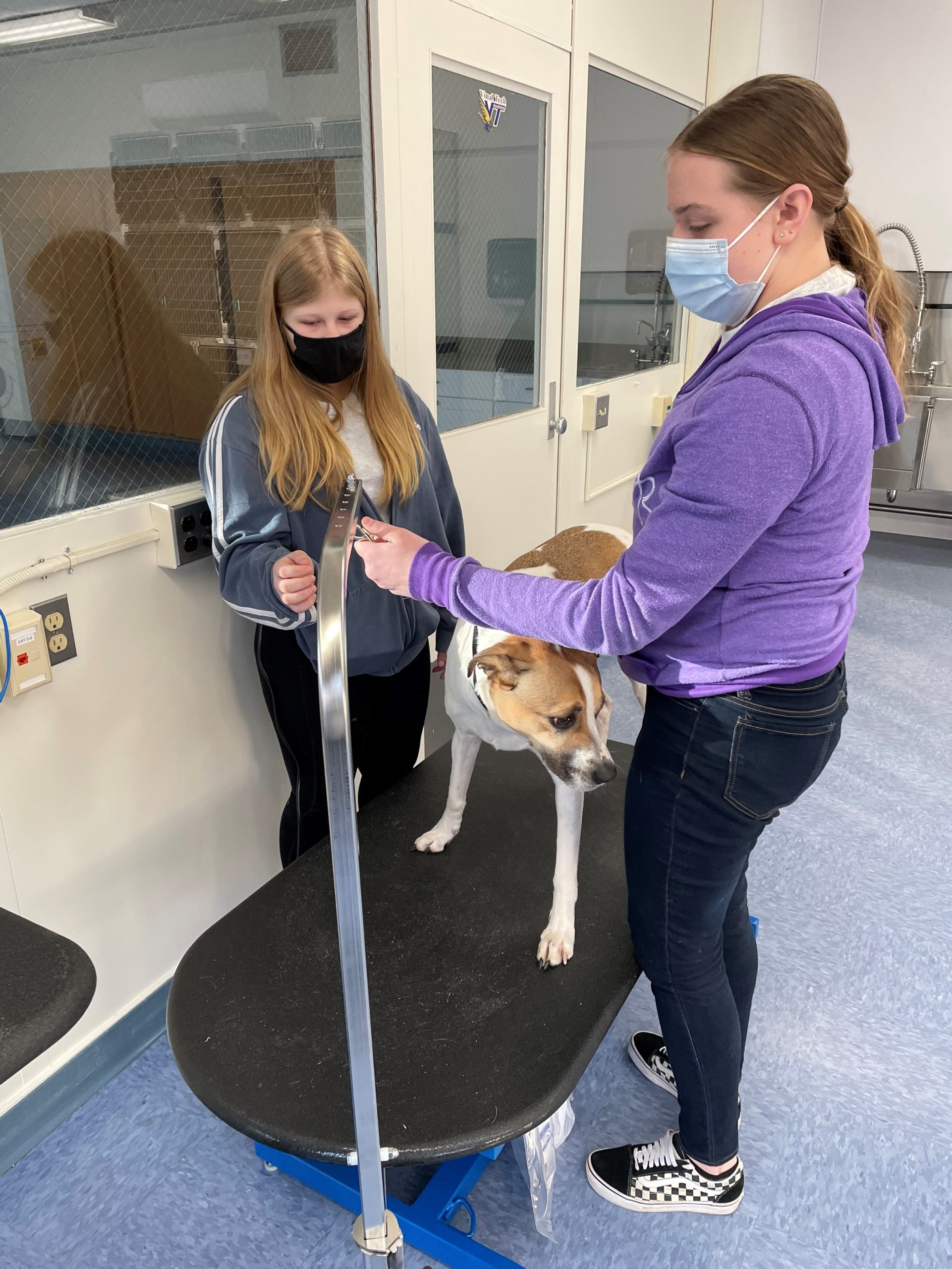 Veterinary Science Vinal Technical High School