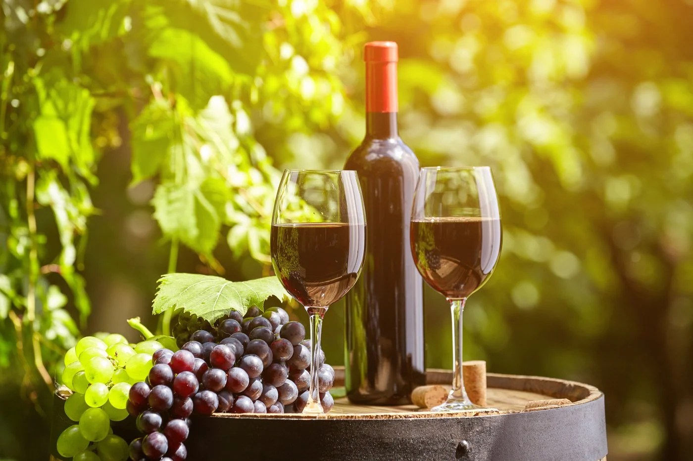 9 essential facts about Italian wine Vincarta