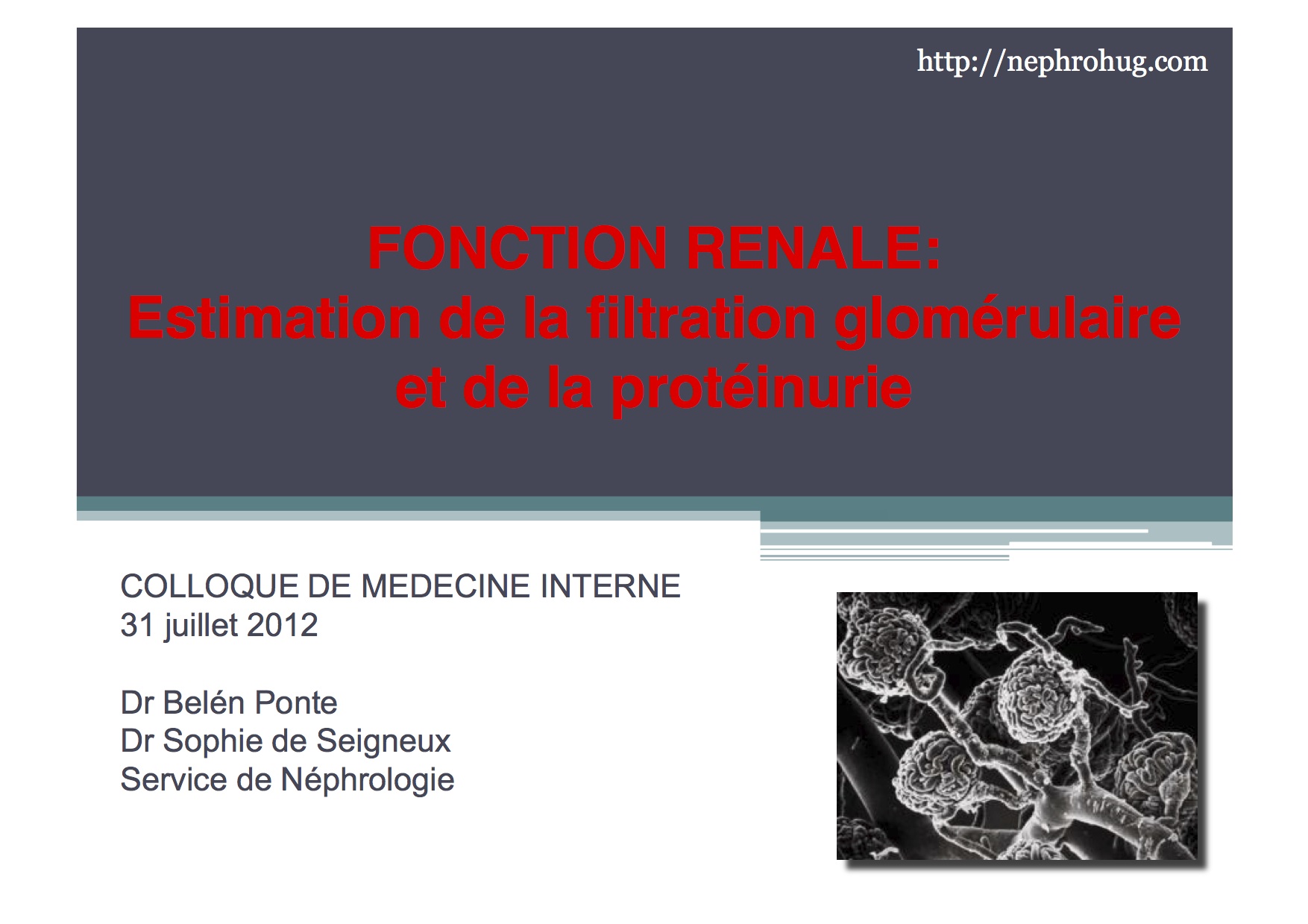 filtration glomérulaire pdf