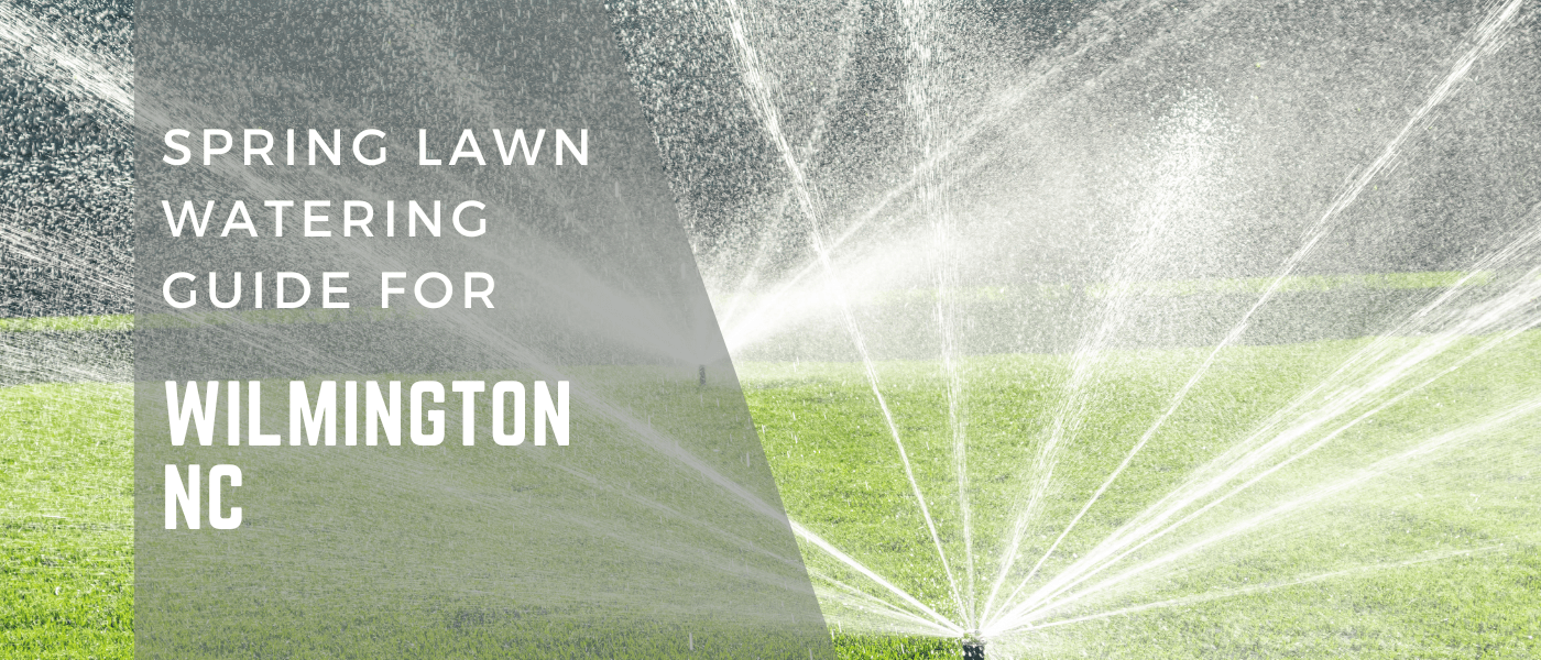Spring Lawn Watering Guide for Wilmington, NC 11.5 In Per Week
