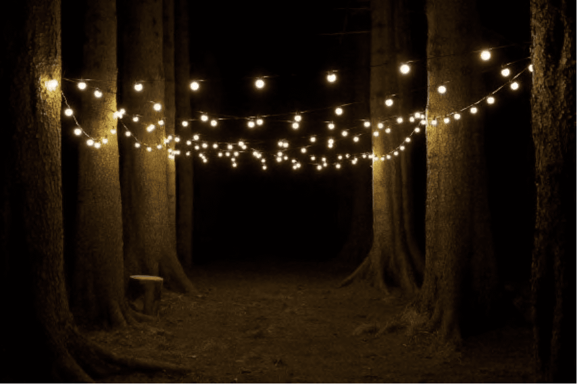 Hire Festoon Lights in Dublin, Ireland Vinehall Displays