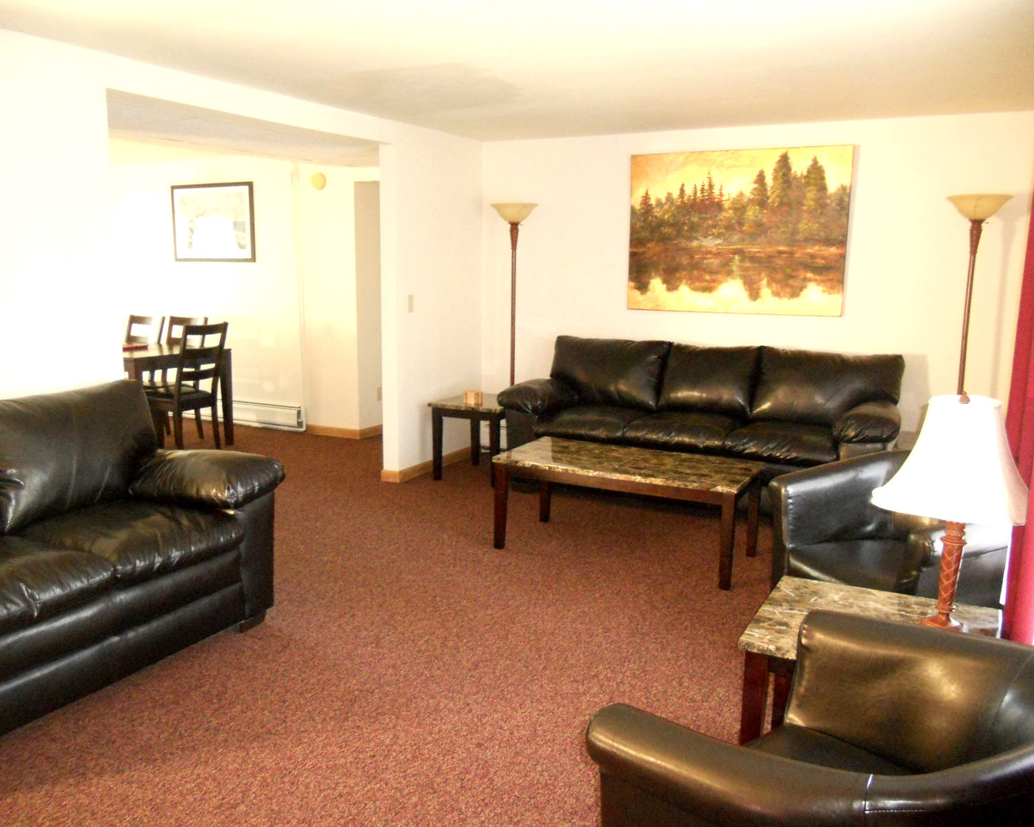 Guest Apartments at Vinehurst Inn & Suites Hammondsport, NY