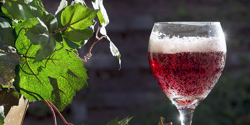 Sparkling Red Wine Is A Thing, And It's Perfect For The Summer VinePair