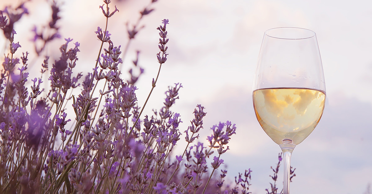 The Best Wines For Springtime Drinking That Are Not Rosé VinePair