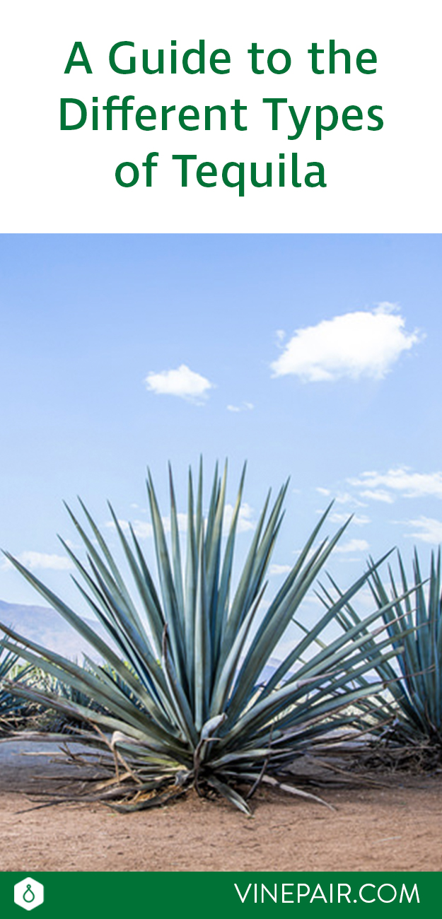 ¿Cuál es la diferencia entre Añejo, Reposado, Blanco y Silver Tequila