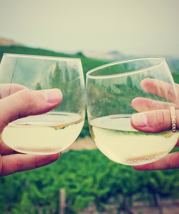 An 11Bottle Tour of Northern Greece's Essential Wines VinePair