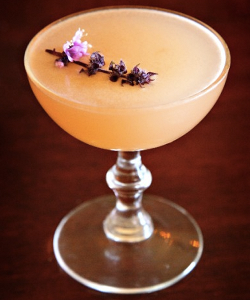 5 Cocktails to Make to Put Those Coupe Glasses to Use VinePair