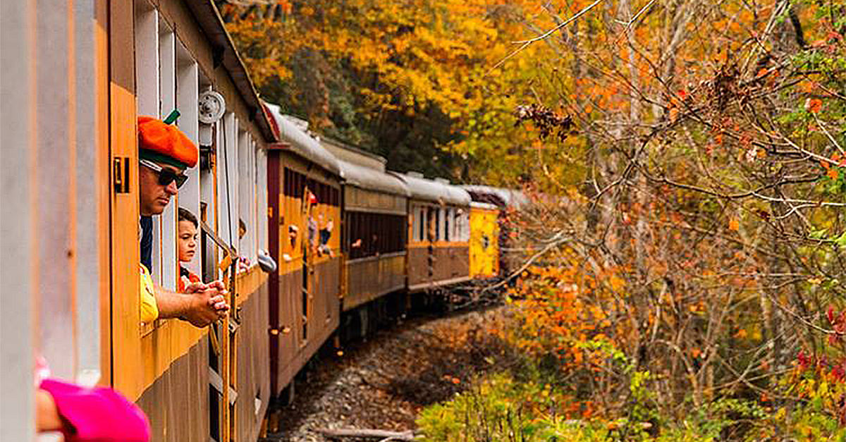 Take a WineFueled Train Ride Through the Smoky Mountains VinePair