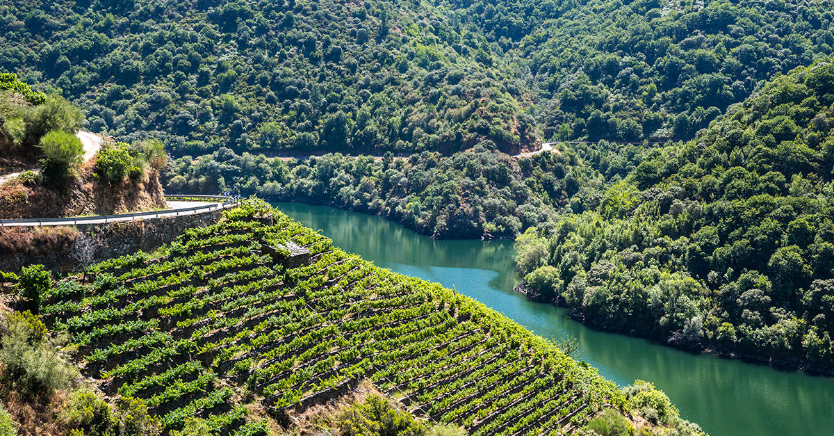The Definitive Guide to Wines From Galicia, Spain VinePair