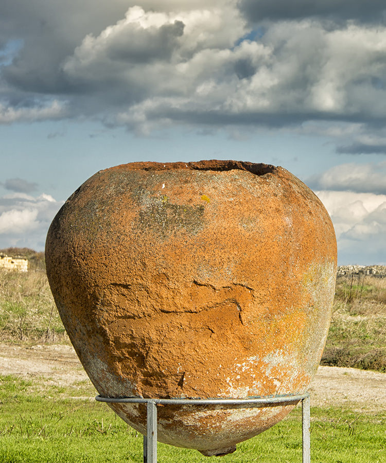 Researchers Found Evidence of the Oldest Winemaking Site in the World