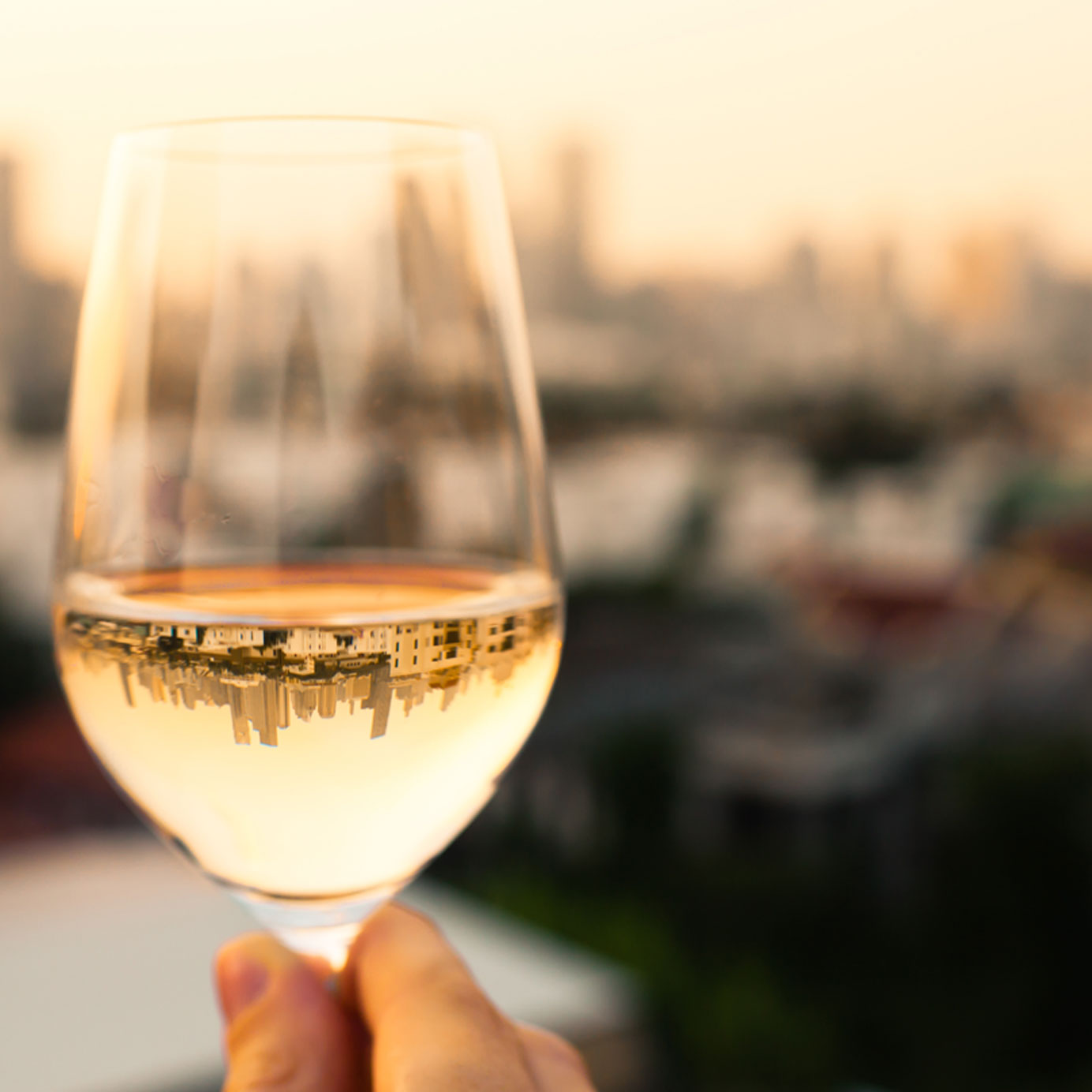 White Pinot Noir Is Rare, Refreshing, and Quietly Trending VinePair