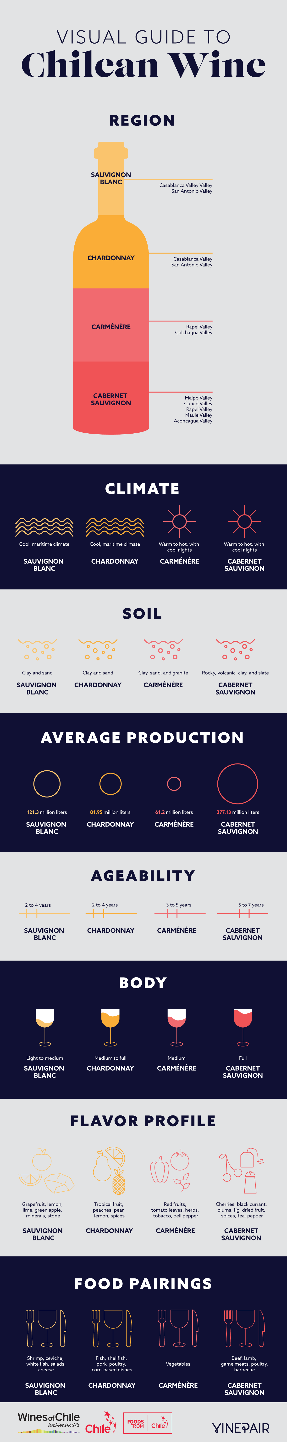 Here's Your Visual Guide to Chilean Wine [INFOGRAPHIC] VinePair