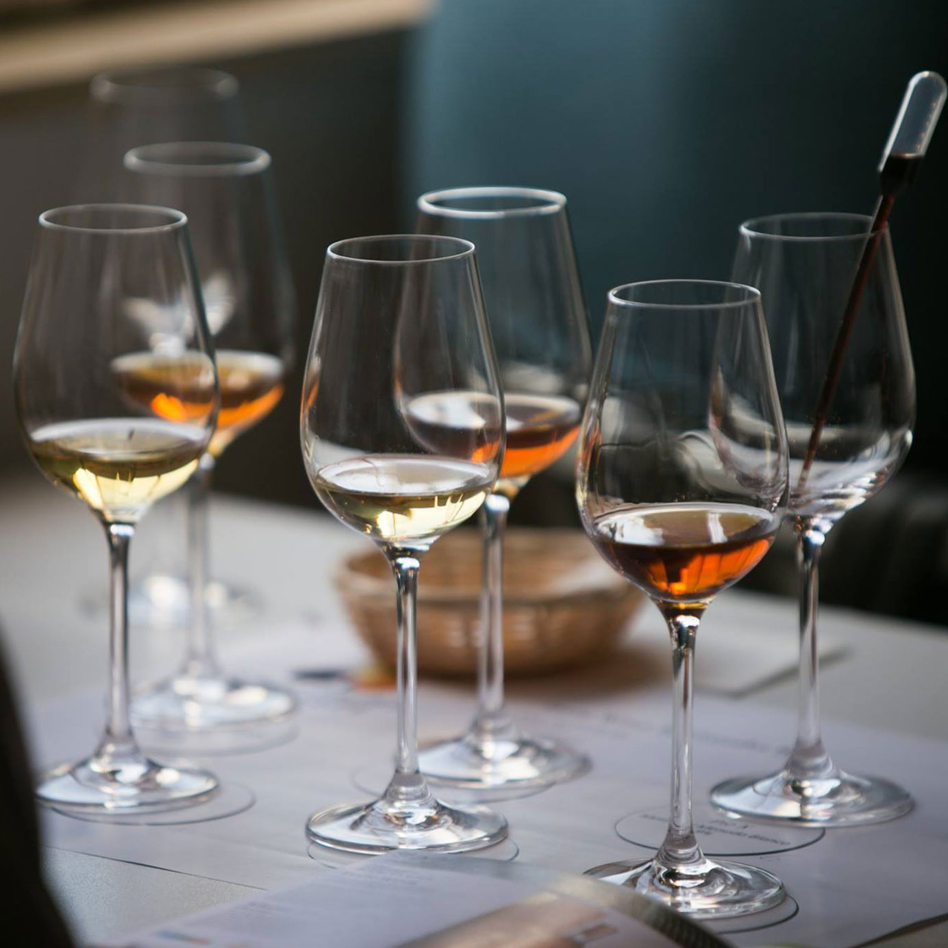 A Field Guide to Sherry, the Most Versatile Wine You Aren't Drinking