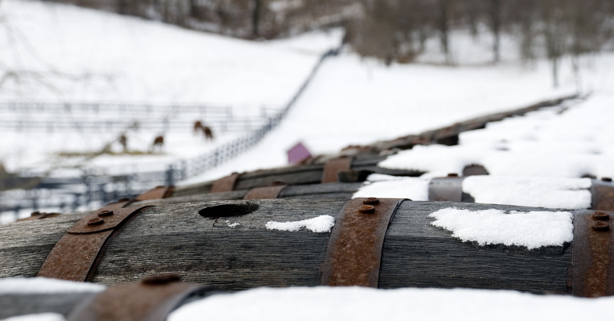Modern Winemakers Are Rethinking ColdSoaking as Wine Science (and