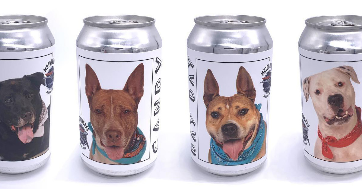 Minnesota Woman Finds LongLost Dog on Florida Brewery Label VinePair