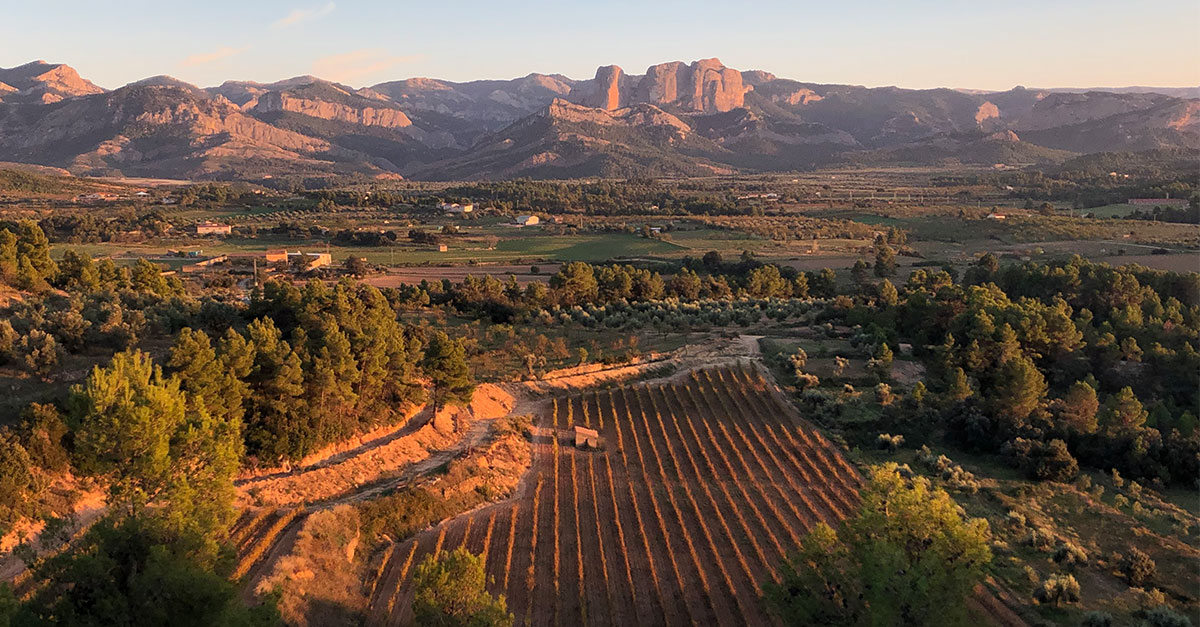 Introducing Tiny, Tenacious Terra Alta in Catalonia VinePair