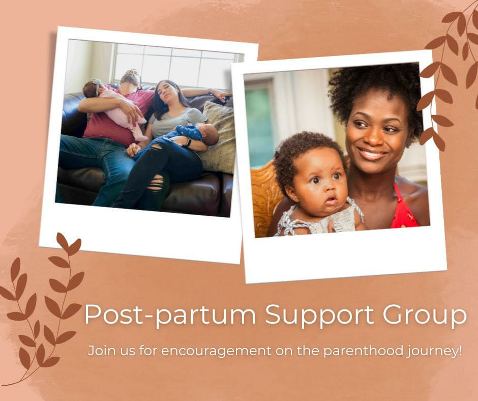 Postpartum Support and Education Group The Vine