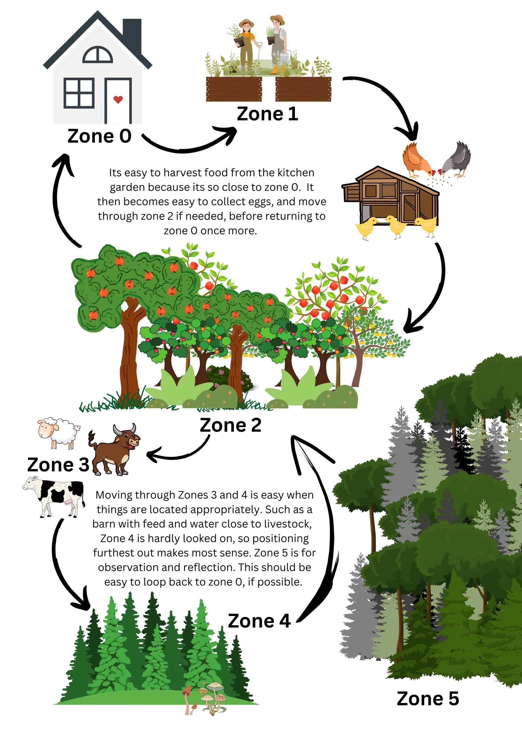 What are the Permaculture Zones? ViNE Permaculture