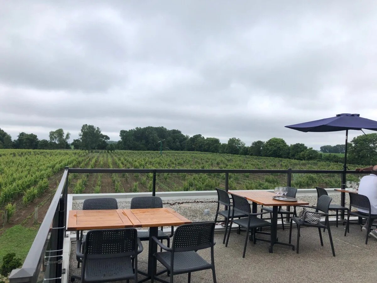 7 mustvisit winery patios in Essex County, Ontario VineRoutes