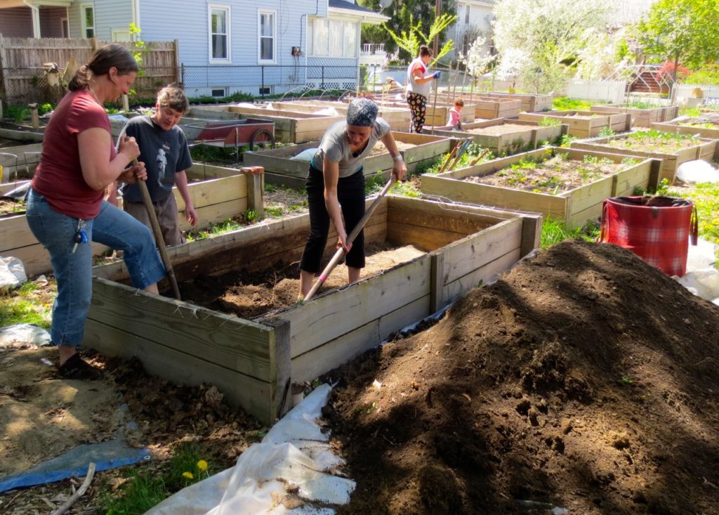 Fall Volunteer Schedule! VINES