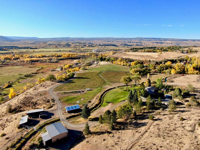 Colorado Winery and Vineyard For Sale SOLD VineSmart