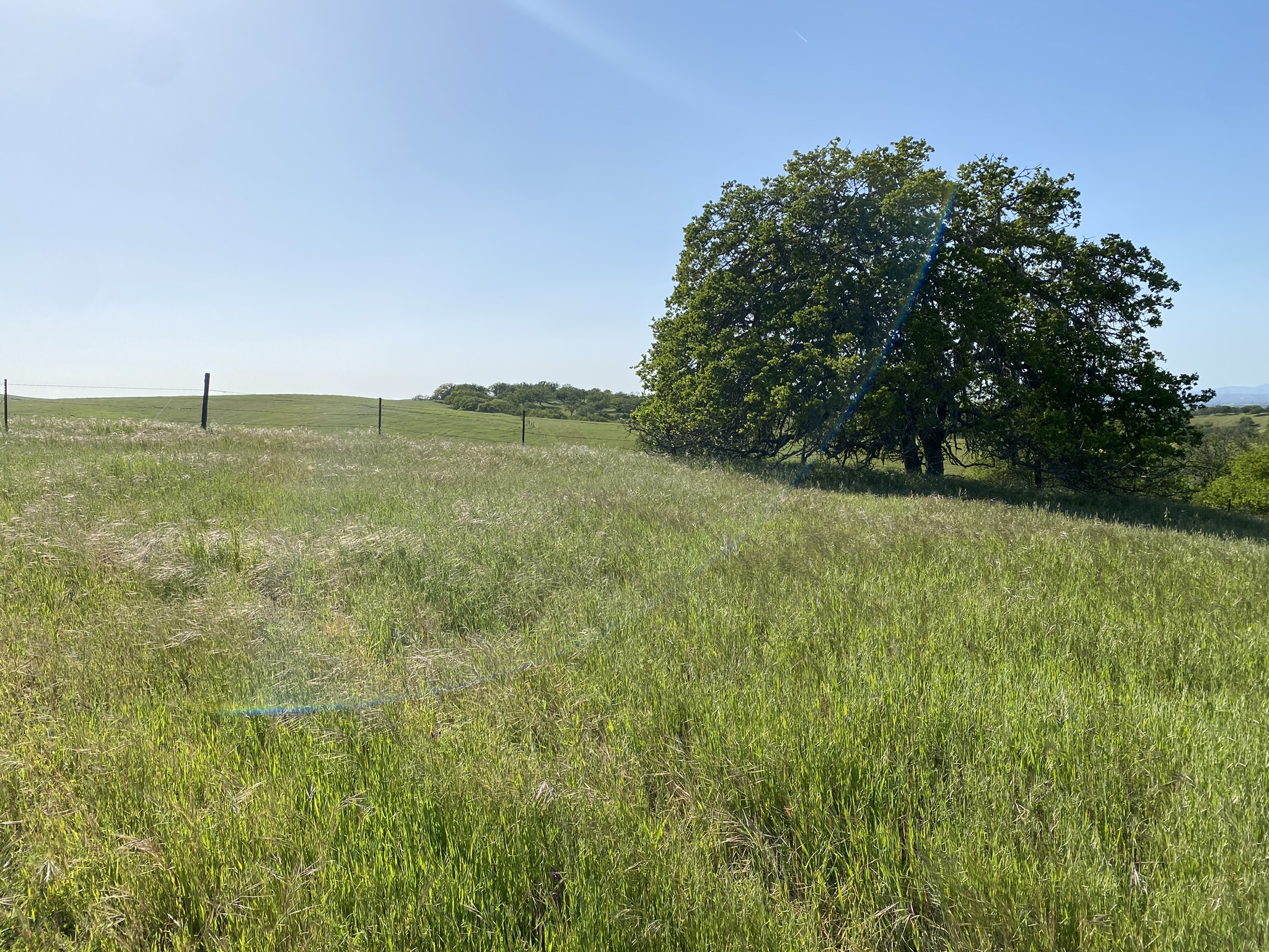 Paso Robles Land For Sale VineSmart