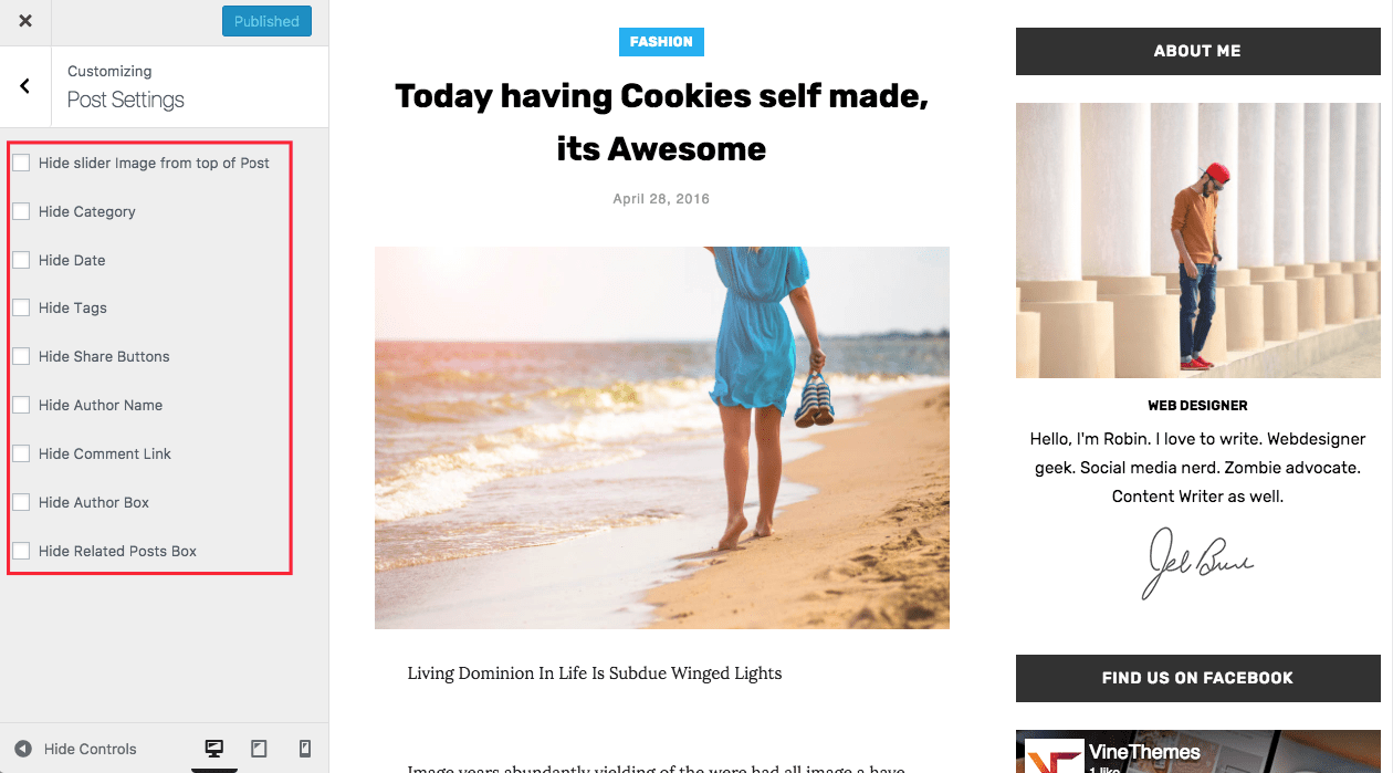 post setting in a wp theme