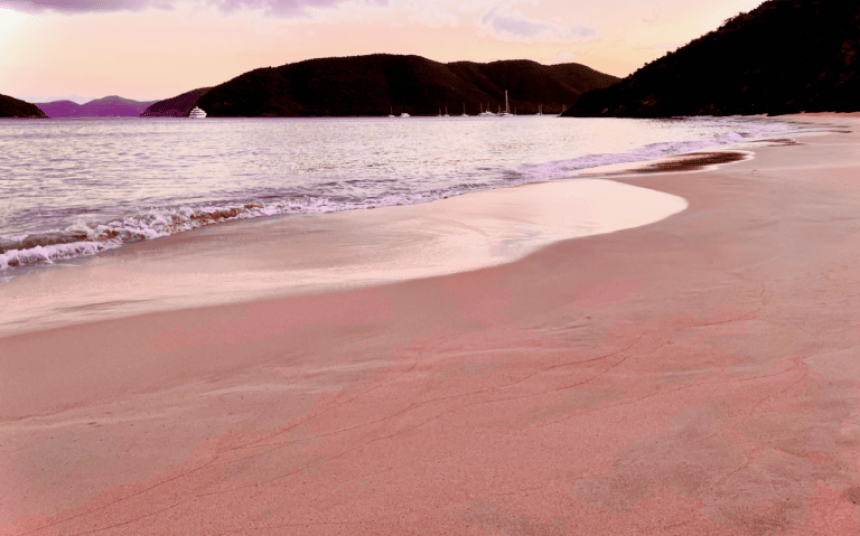 News From the Virgin Islands Cinnamon Bay Beach and Campground Adventure