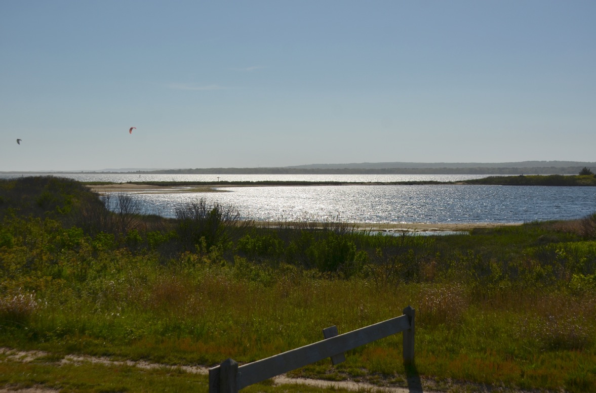 The Vineyard Gazette Martha's Vineyard News West Tisbury Town