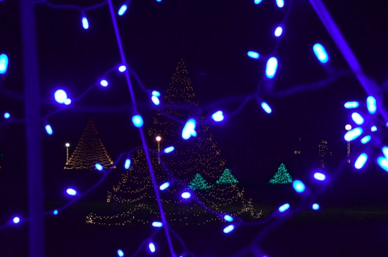 Christmas Light Displays Vinyard 2023 The Vineyard Gazette Martha's Vineyard News Christmas Lights
