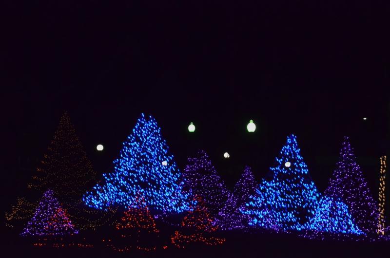 Christmas Light Displays Vinyard 2023 The Vineyard Gazette Martha's Vineyard News Christmas Lights
